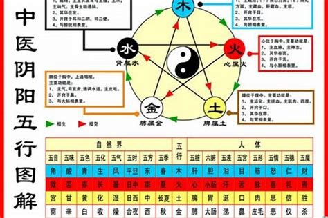 84年屬鼠|1984年属鼠是什么命，84年出生五行属什么